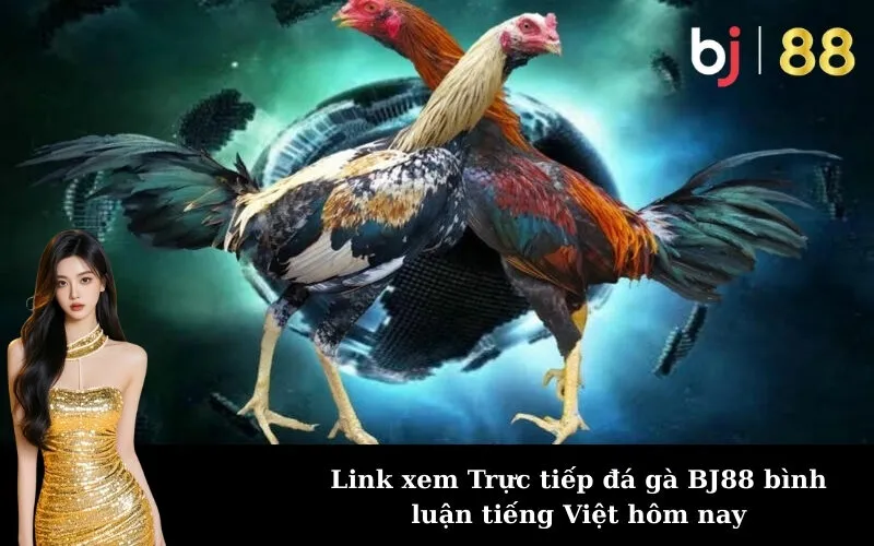 Link xem Trực tiếp đá gà BJ88 bình luận tiếng Việt hôm nay